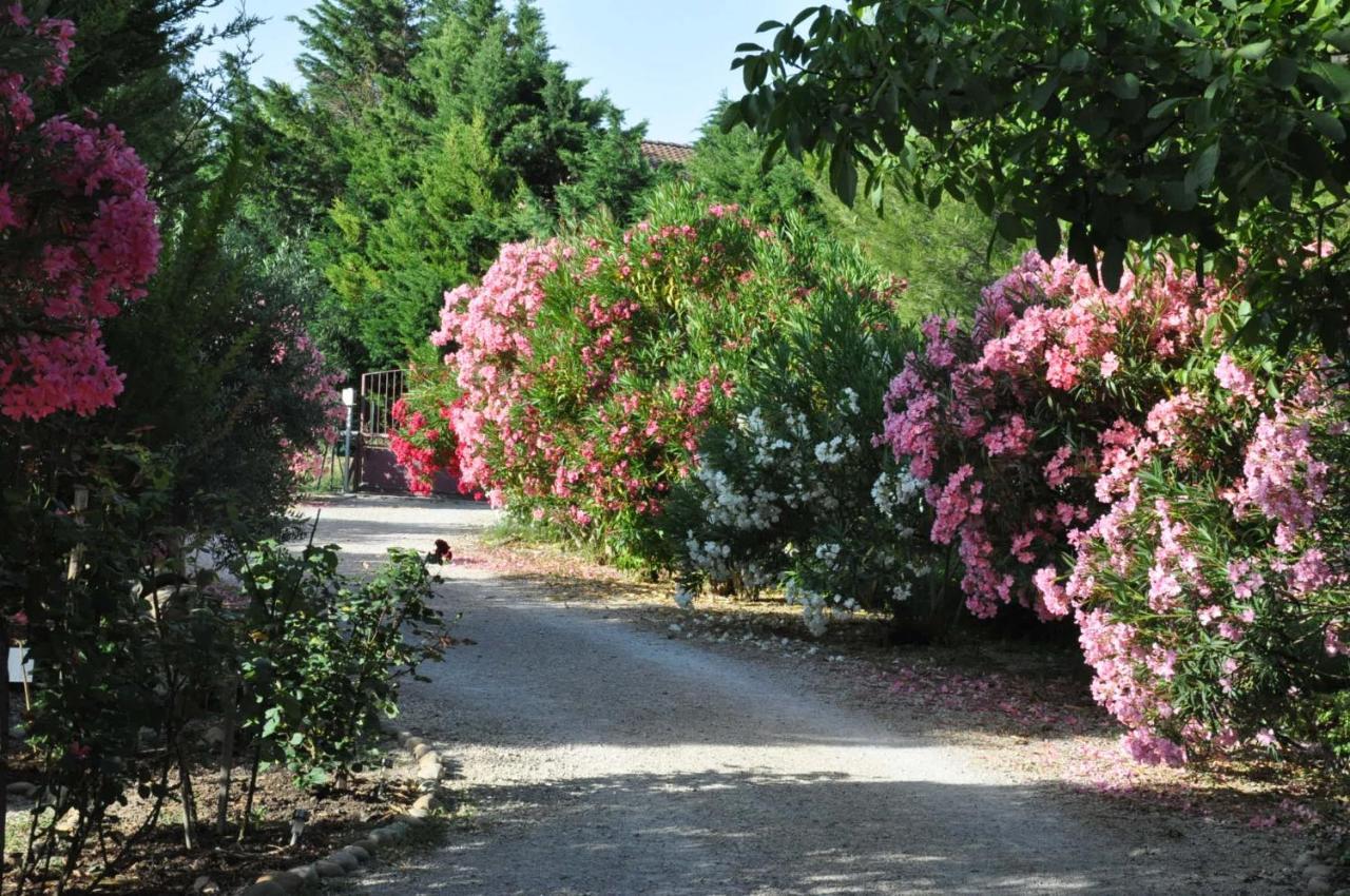La Ferme De Tonton Jules Et Mame Julia Bed and Breakfast Entraigues-sur-la-Sorgue Εξωτερικό φωτογραφία